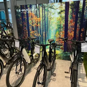 Bild von e-motion e-Bike Welt, Dreirad- & Lastenfahrrad-Zentrum Eberswalde