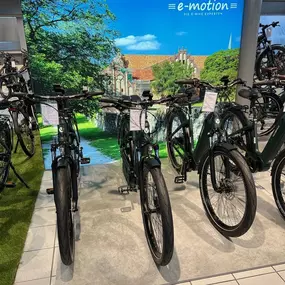 Bild von e-motion e-Bike Welt, Dreirad- & Lastenfahrrad-Zentrum Eberswalde