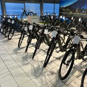 Bild von e-motion e-Bike Welt, Dreirad- & Lastenfahrrad-Zentrum Eberswalde