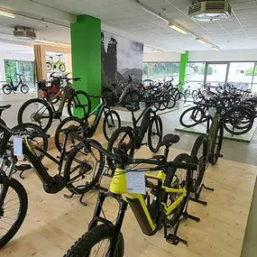 Bild von e-motion e-Bike Welt, Dreirad- & Lastenfahrrad-Zentrum Dillenburg