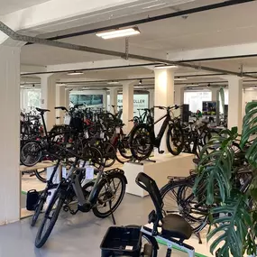 Bild von e-motion e-Bike Welt Remscheid, Dreirad- & Lastenfahrrad-Zentrum