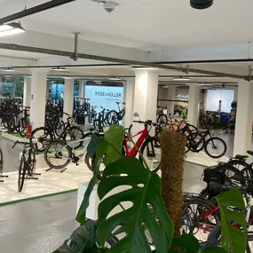 Bild von e-motion e-Bike Welt Remscheid, Dreirad- & Lastenfahrrad-Zentrum