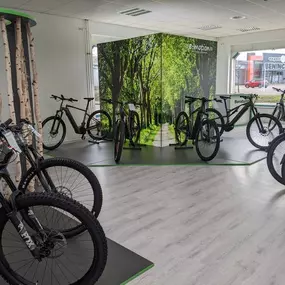 Bild von e-motion e-Bike Welt, Dreirad- & Lastenfahrrad-Zentrum Stade - Altes Land