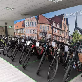 Bild von e-motion e-Bike Welt, Dreirad- & Lastenfahrrad-Zentrum Stade - Altes Land