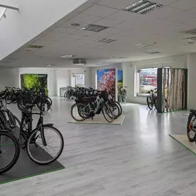 Bild von e-motion e-Bike Welt, Dreirad- & Lastenfahrrad-Zentrum Stade - Altes Land