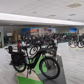 Bild von e-motion e-Bike Welt, Dreirad- & Lastenfahrrad-Zentrum Stade - Altes Land