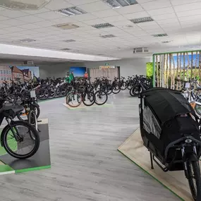 Bild von e-motion e-Bike Welt, Dreirad- & Lastenfahrrad-Zentrum Stade - Altes Land