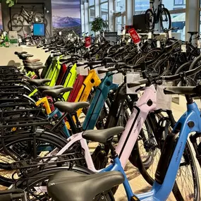 Bild von e-motion e-Bike Welt, Dreirad- und Lastenfahrrad-Zentrum Düsseldorf