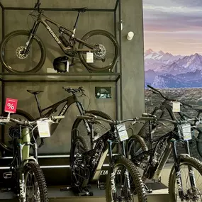 Bild von e-motion e-Bike Welt, Dreirad- und Lastenfahrrad-Zentrum Düsseldorf