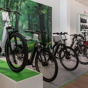 Bild von e-motion e-Bike Welt, Dreirad- & Lastenfahrrad-Zentrum Dresden West