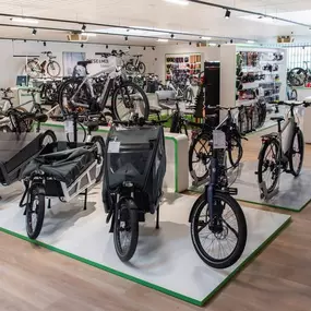 Bild von e-motion e-Bike Welt, Dreirad- & Lastenfahrrad-Zentrum Dresden West