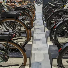 Bild von e-motion e-Bike Welt, Dreirad- & Lastenfahrrad-Zentrum Bad Zwischenahn