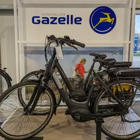 Bild von e-motion e-Bike Welt, Dreirad- & Lastenfahrrad-Zentrum Bad Zwischenahn