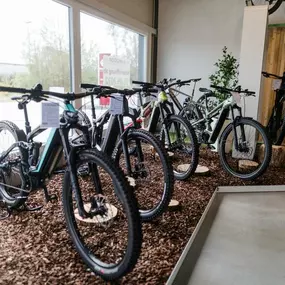 Bild von e-motion e-Bike Welt, Dreirad- & Lastenfahrrad-Zentrum Schwarzenfeld