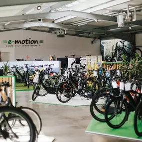 Bild von e-motion e-Bike Welt, Dreirad- & Lastenfahrrad-Zentrum Schwarzenfeld