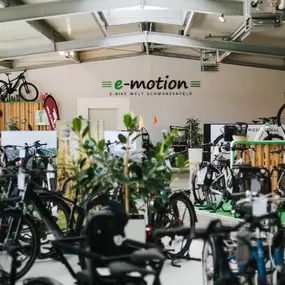 Bild von e-motion e-Bike Welt, Dreirad- & Lastenfahrrad-Zentrum Schwarzenfeld