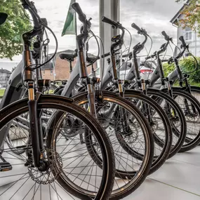 Bild von e-motion e-Bike Welt, Dreirad- & Lastenfahrrad-Zentrum Schleswig