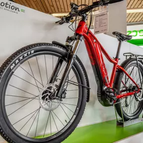 Bild von e-motion e-Bike Welt, Dreirad- & Lastenfahrrad-Zentrum Schleswig