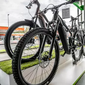 Bild von e-motion e-Bike Welt, Dreirad- & Lastenfahrrad-Zentrum Schleswig