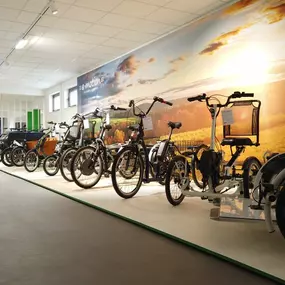 Bild von e-motion e-Bike Welt, Dreirad- & Lastenfahrrad-Zentrum Chemnitz