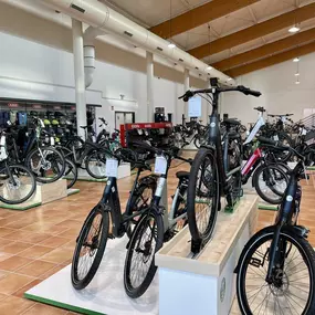 Bild von e-motion e-Bike Welt, Dreirad- & Lastenfahrrad-Zentrum Cloppenburg