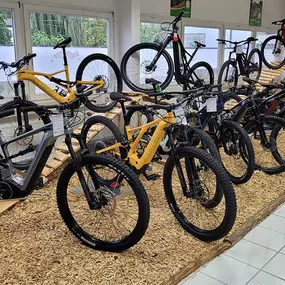 Bild von e-motion e-Bike Welt, Dreirad- & Lastenfahrrad-Zentrum Merzig