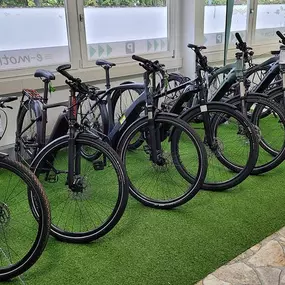 Bild von e-motion e-Bike Welt, Dreirad- & Lastenfahrrad-Zentrum Merzig