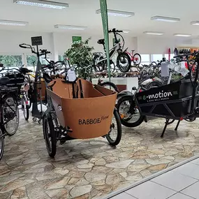 Bild von e-motion e-Bike Welt, Dreirad- & Lastenfahrrad-Zentrum Merzig