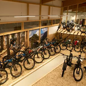 Bild von e-motion e-Bike Welt, Dreirad- & Lastenfahrrad-Zentrum Oberallgäu