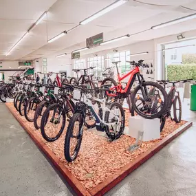 Bild von e-motion e-Bike Welt, Dreirad- & Lastenfahrrad-Zentrum Karlsruhe