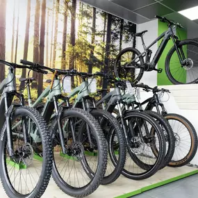 Bild von e-motion e-Bike Welt Münchberg