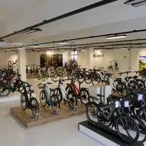 Bild von e-motion e-Bike Welt, Dreirad- & Lastenfahrrad-Zentrum Pforzheim