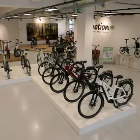 Bild von e-motion e-Bike Welt, Dreirad- & Lastenfahrrad-Zentrum Pforzheim