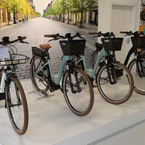 Bild von e-motion e-Bike Welt, Dreirad- & Lastenfahrrad-Zentrum Pforzheim