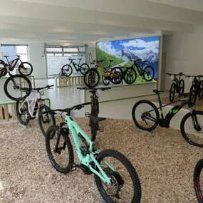 Bild von e-motion e-Bike Welt, Dreirad- & Lastenfahrrad-Zentrum Pforzheim