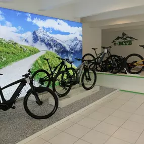 Bild von e-motion e-Bike Welt, Dreirad- & Lastenfahrrad-Zentrum Pforzheim