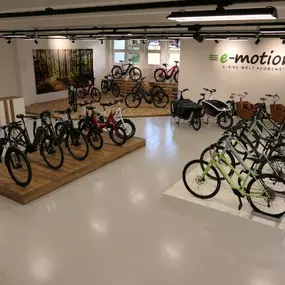 Bild von e-motion e-Bike Welt, Dreirad- & Lastenfahrrad-Zentrum Pforzheim