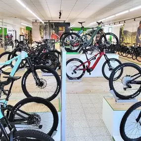 Bild von e-motion e-Bike Welt, Dreirad- & Lastenfahrrad-Zentrum Adelsdorf