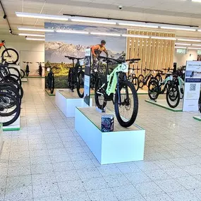 Bild von e-motion e-Bike Welt, Dreirad- & Lastenfahrrad-Zentrum Adelsdorf