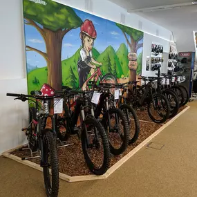 Bild von e-motion e-Bike Welt, Dreirad- & Lastenfahrrad-Zentrum Freiburg Süd