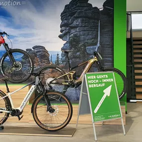 Bild von e-motion e-Bike Welt, Dreirad- & Lastenfahrrad-Zentrum Passau