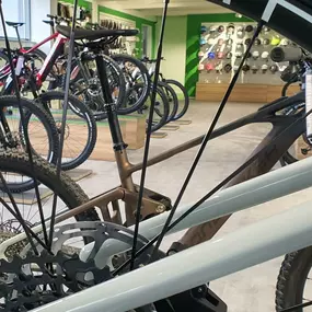 Bild von e-motion e-Bike Welt, Dreirad- & Lastenfahrrad-Zentrum Passau