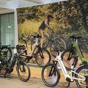 Bild von e-motion e-Bike Welt, Dreirad- & Lastenfahrrad-Zentrum Passau