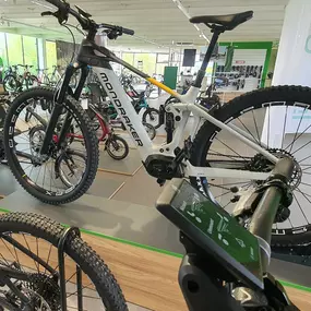 Bild von e-motion e-Bike Welt, Dreirad- & Lastenfahrrad-Zentrum Passau