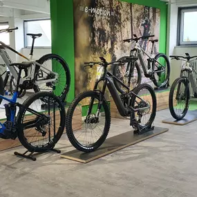 Bild von e-motion e-Bike Welt, Dreirad- & Lastenfahrrad-Zentrum Passau