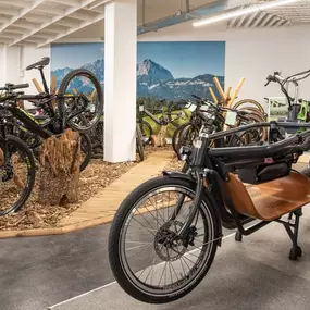 Bild von e-motion e-Bike Welt & Service-Werkstatt Stuttgart