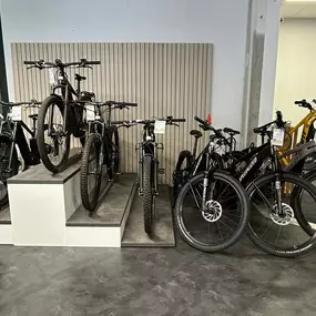 Bild von e-motion e-Bike Welt, Dreirad- & Lastenfahrrad-Zentrum Stuttgart