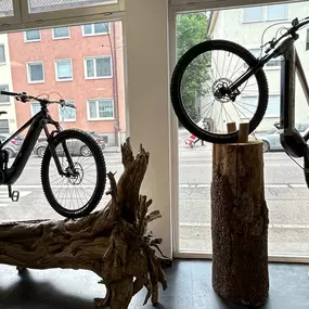 Bild von e-motion e-Bike Welt, Dreirad- & Lastenfahrrad-Zentrum Stuttgart