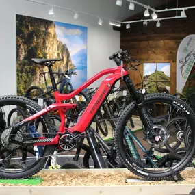 Bild von e-motion e-Bike Welt, Dreirad- & Lastenfahrrad-Zentrum Hanau