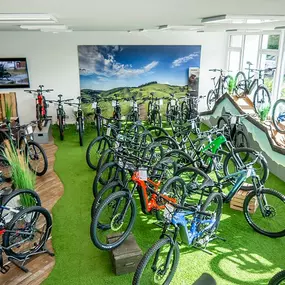 Bild von e-motion e-Bike Welt Erfurt